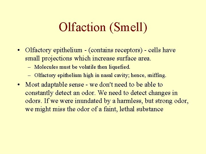 Olfaction (Smell) • Olfactory epithelium - (contains receptors) - cells have small projections which