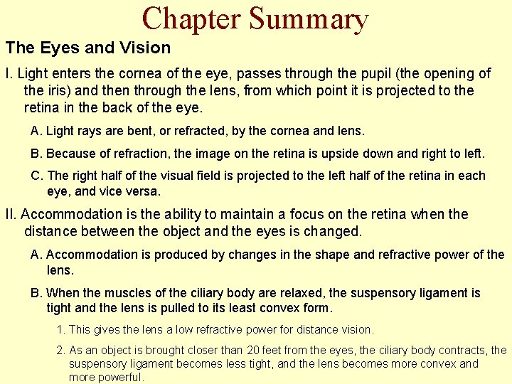 Chapter Summary The Eyes and Vision I. Light enters the cornea of the eye,