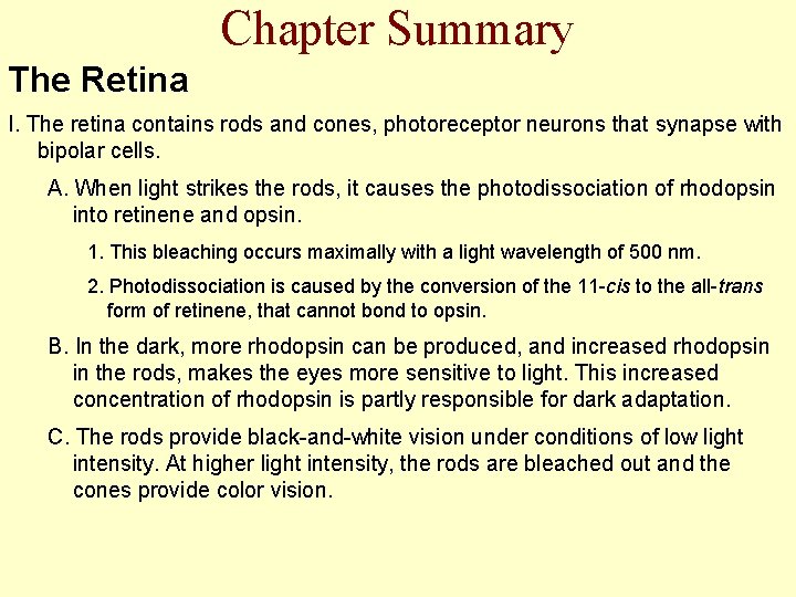 Chapter Summary The Retina I. The retina contains rods and cones, photoreceptor neurons that
