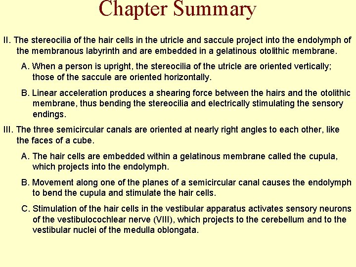 Chapter Summary II. The stereocilia of the hair cells in the utricle and saccule