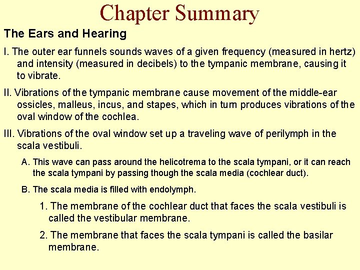 Chapter Summary The Ears and Hearing I. The outer ear funnels sounds waves of