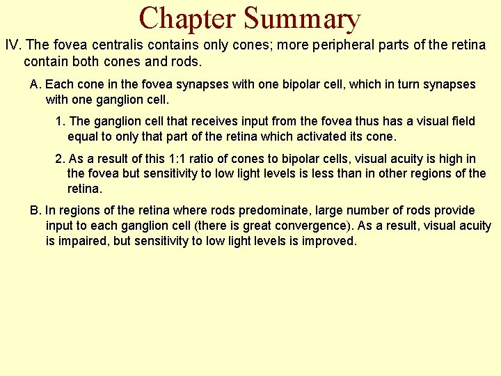 Chapter Summary IV. The fovea centralis contains only cones; more peripheral parts of the