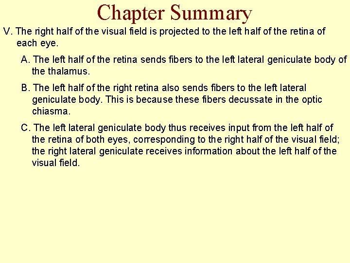 Chapter Summary V. The right half of the visual field is projected to the