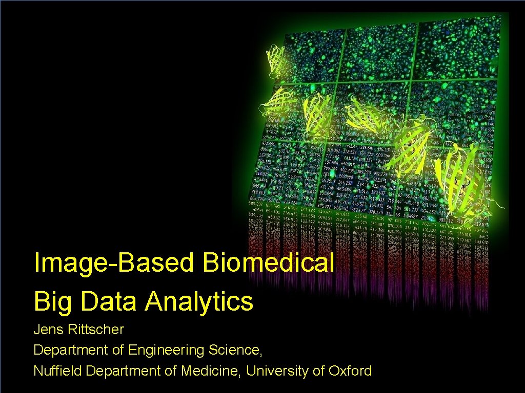 Image-Based Biomedical Big Data Analytics Jens Rittscher Department of Engineering Science, Nuffield Department of