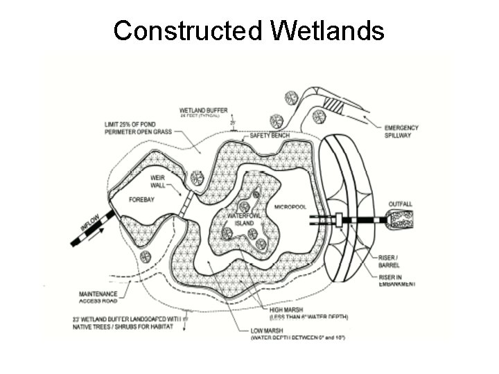 Constructed Wetlands 