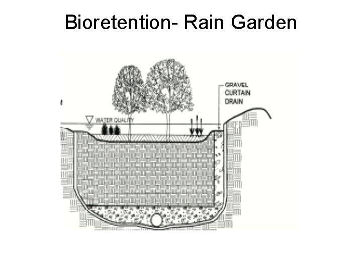 Bioretention- Rain Garden 
