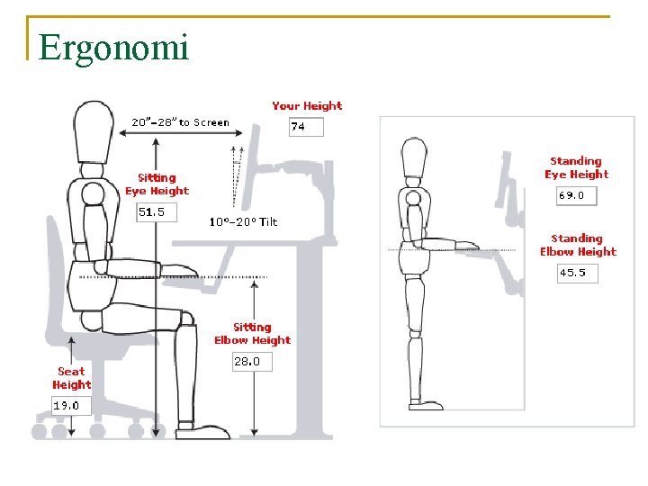 Ergonomi 