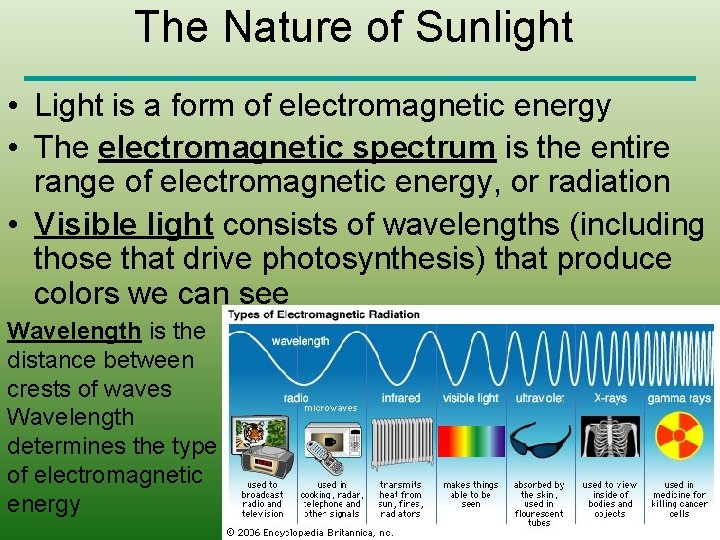The Nature of Sunlight • Light is a form of electromagnetic energy • The