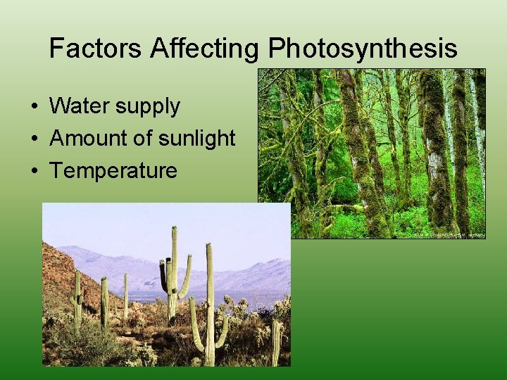 Factors Affecting Photosynthesis • Water supply • Amount of sunlight • Temperature 
