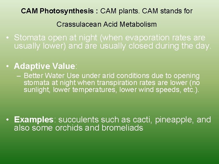 CAM Photosynthesis : CAM plants. CAM stands for Crassulacean Acid Metabolism • Stomata open