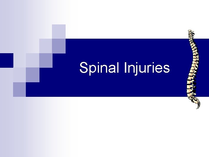 Spinal Injuries 