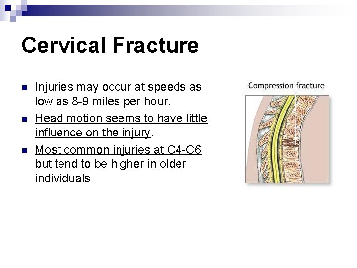 Cervical Fracture n n n Injuries may occur at speeds as low as 8
