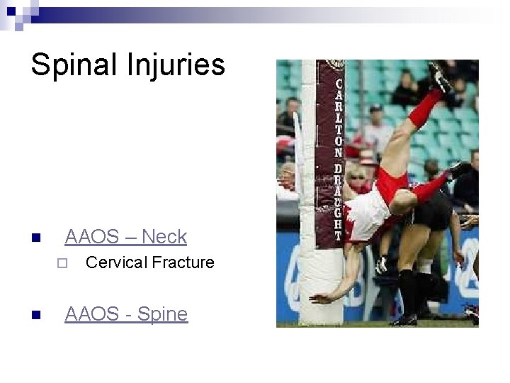 Spinal Injuries n AAOS – Neck ¨ n Cervical Fracture AAOS - Spine 