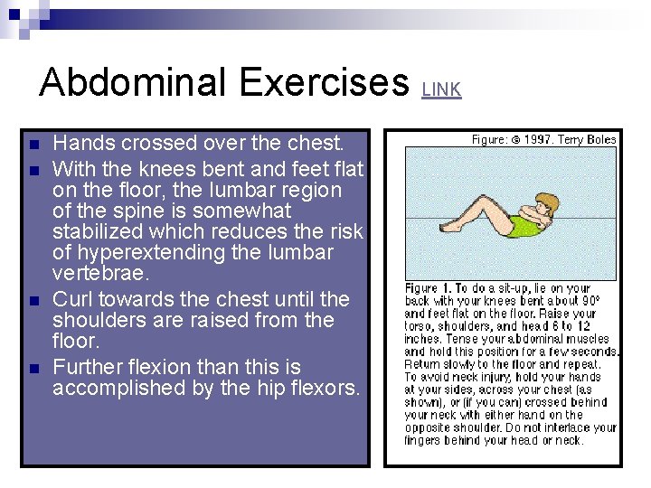 Abdominal Exercises LINK n n Hands crossed over the chest. With the knees bent