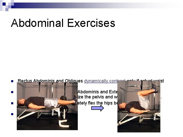 Abdominal Exercises n n Rectus Abdominis and Obliques dynamically contract only if actual waist