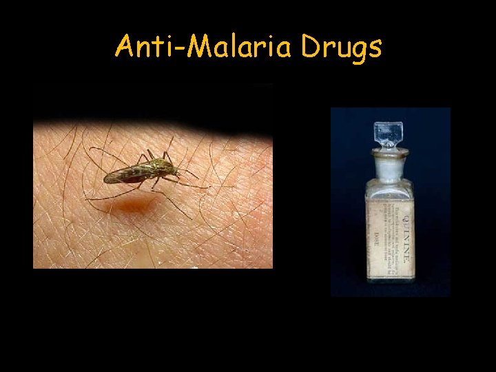 Anti-Malaria Drugs 