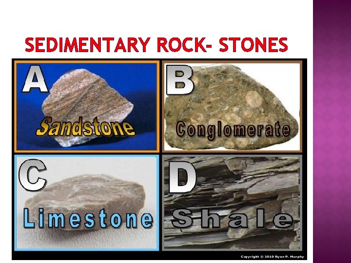 SEDIMENTARY ROCKS Formation Classification Structure Minerals Sandstone ...