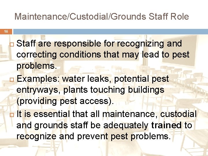 5. Maintenance/Custodial/Grounds Staff Role 16 Staff are responsible for recognizing and correcting conditions that