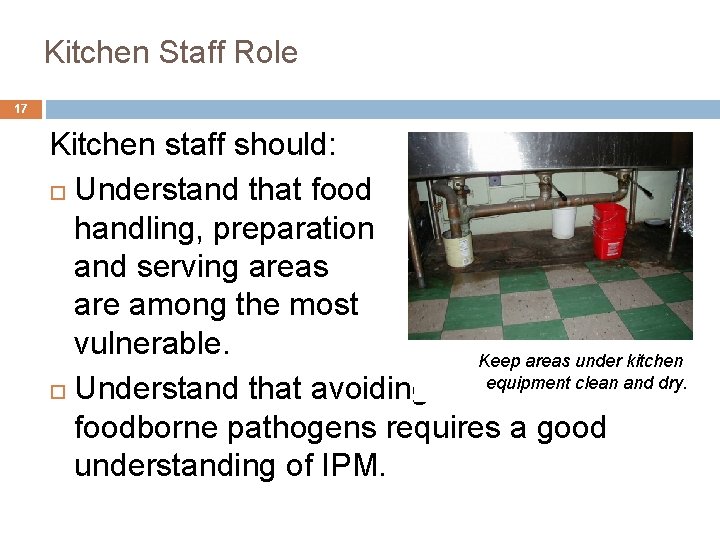 5. Kitchen Staff Role 17 Kitchen staff should: Understand that food handling, preparation and