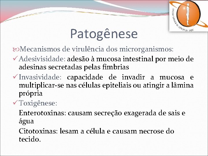 Patogênese Mecanismos de virulência dos microrganismos: ü Adesivisidade: adesão à mucosa intestinal por meio
