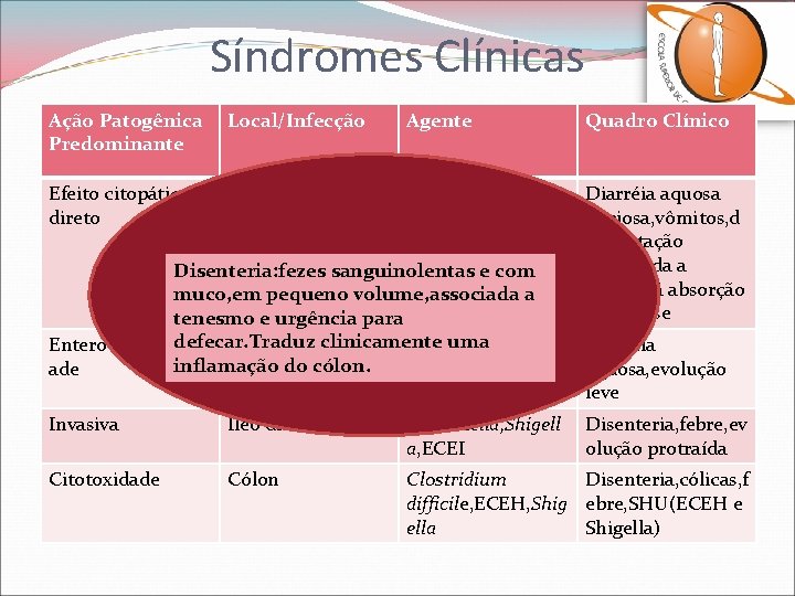 Síndromes Clínicas Ação Patogênica Predominante Local/Infecção Agente Efeito citopático direto Quadro Clínico Intestino Rotavírus,