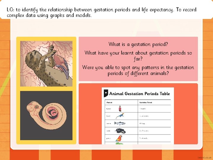 LO: to identify the relationship between gestation periods and life expectancy. To record complex