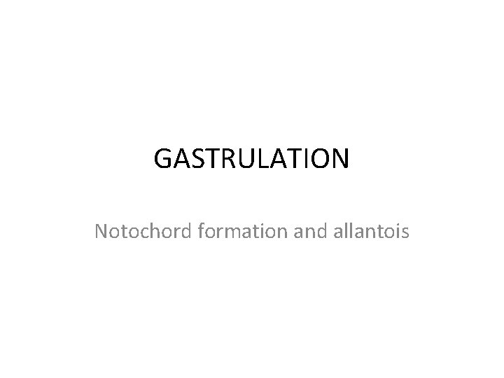 GASTRULATION Notochord formation and allantois 