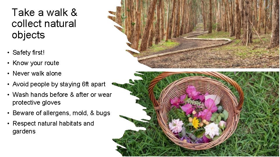 Take a walk & collect natural objects • Safety first! • Know your route