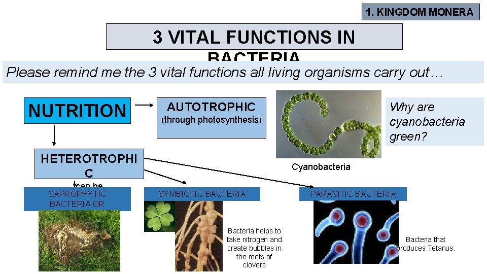 1. KINGDOM MONERA 3 VITAL FUNCTIONS IN BACTERIA Please remind me the 3 vital