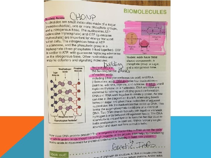 BIOMOLECULES OF LIFE EACH BIOMOLECULE IS A MACROMOLECULE