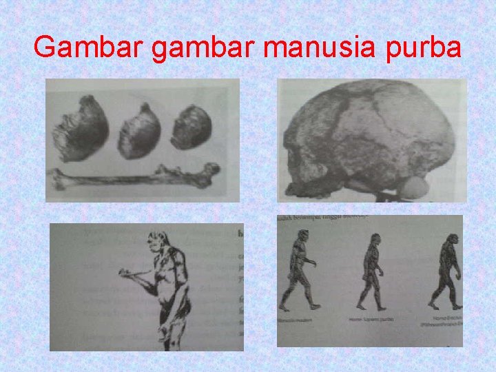 Gambar gambar manusia purba 