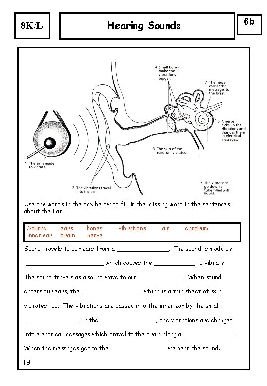 6 b Hearing Sounds 8 K/L Use the words in the box below to 6 b Hearing Sounds 8 K/L Use the words in the box below to