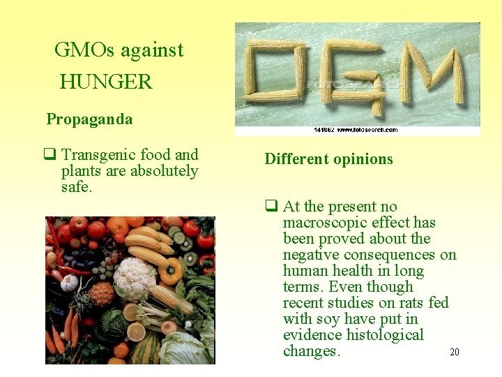 GMOs against HUNGER Propaganda q Transgenic food and plants are absolutely safe. Different opinions