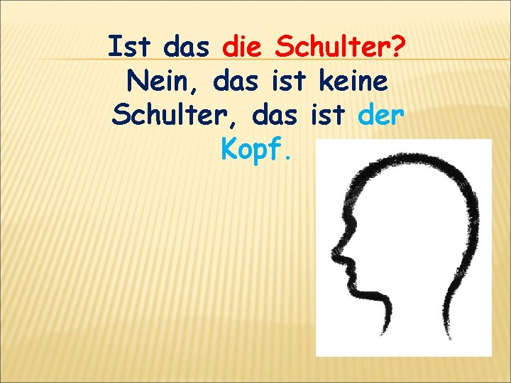 Ist das die Schulter? Nein, das ist keine Schulter, das ist der Kopf. 