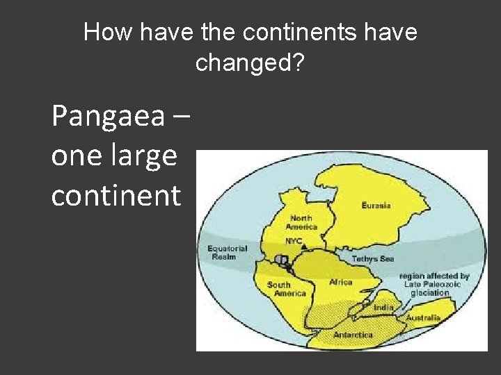 How have the continents have changed? Pangaea – one large continent 