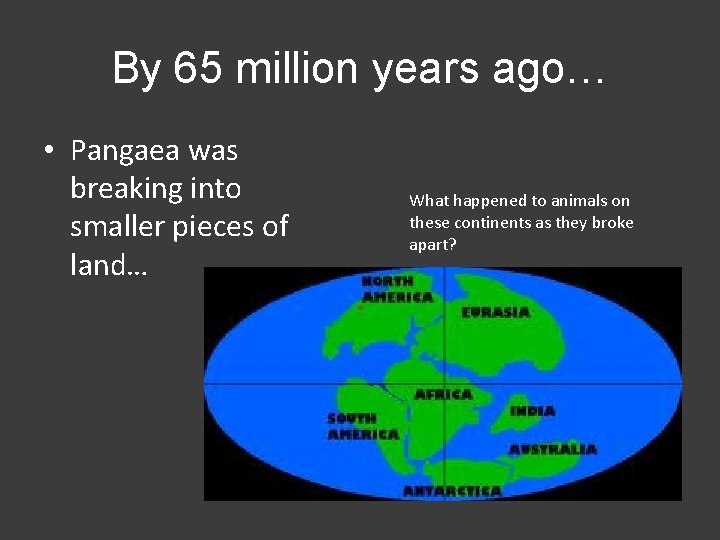 By 65 million years ago… • Pangaea was breaking into smaller pieces of land…