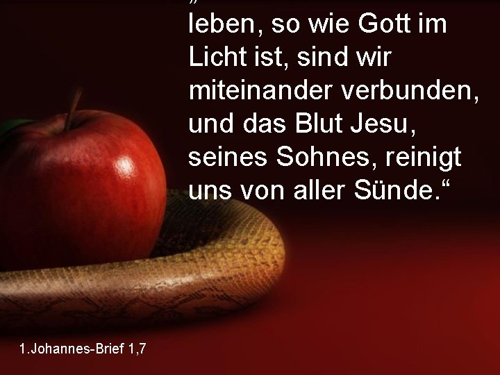 leben, so wie Gott im Licht ist, sind wir miteinander verbunden, und das Blut