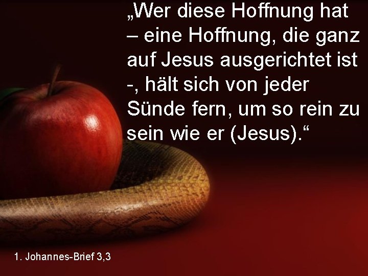 „Wer diese Hoffnung hat – eine Hoffnung, die ganz auf Jesus ausgerichtet ist -,