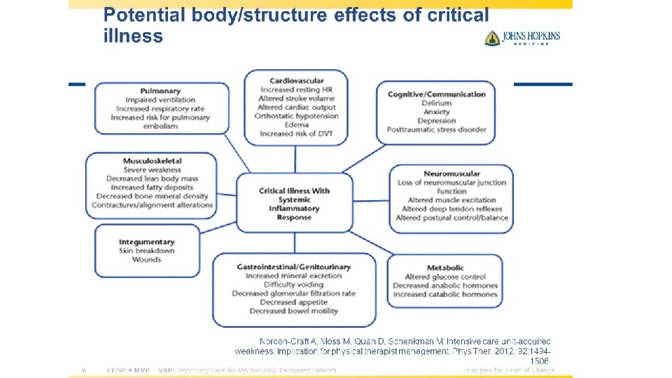 Body Systems affected by Critical Illness • Nordon-Craft 