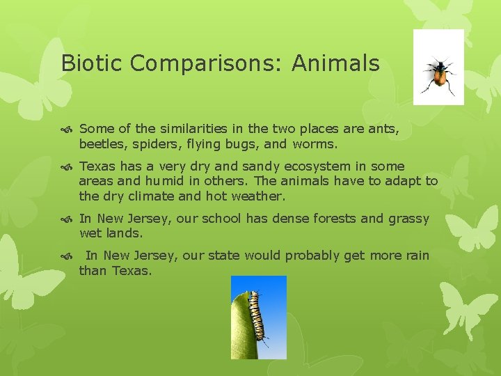 Biotic Comparisons: Animals Some of the similarities in the two places are ants, beetles,