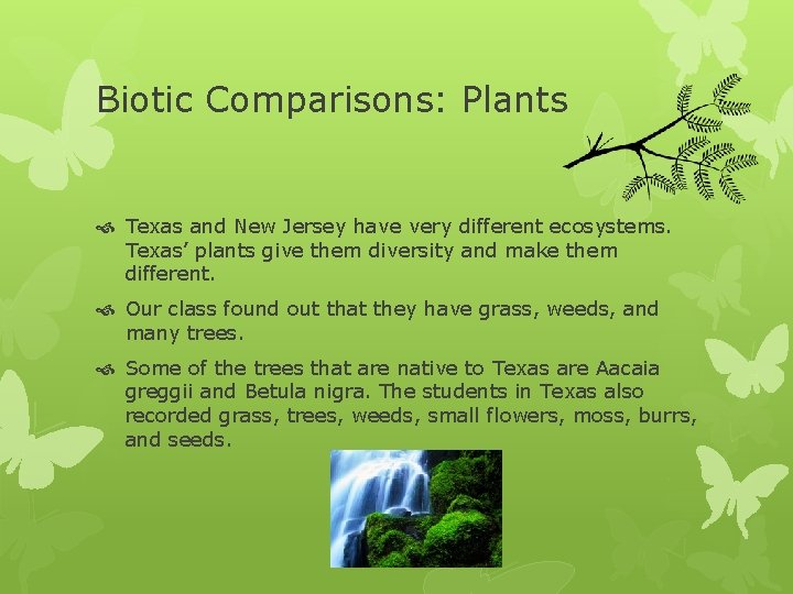 Biotic Comparisons: Plants Texas and New Jersey have very different ecosystems. Texas’ plants give