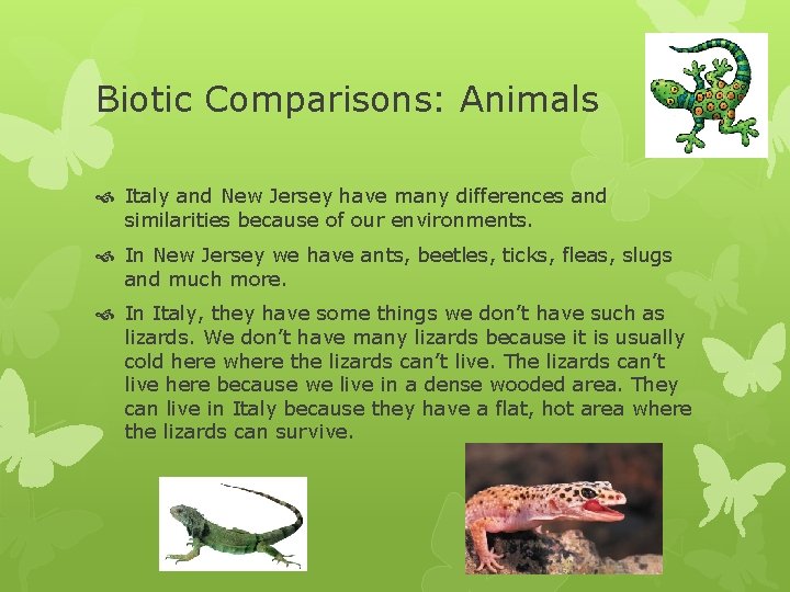 Biotic Comparisons: Animals Italy and New Jersey have many differences and similarities because of