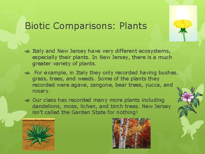 Biotic Comparisons: Plants Italy and New Jersey have very different ecosystems, especially their plants.