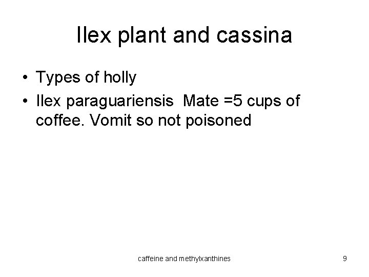 Ilex plant and cassina • Types of holly • Ilex paraguariensis Mate =5 cups