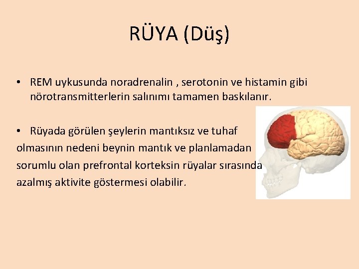 RÜYA (Düş) • REM uykusunda noradrenalin , serotonin ve histamin gibi nörotransmitterlerin salınımı tamamen RÜYA (Düş) • REM uykusunda noradrenalin , serotonin ve histamin gibi nörotransmitterlerin salınımı tamamen