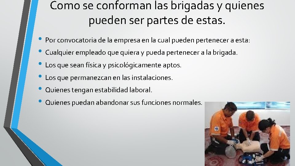 Como se conforman las brigadas y quienes pueden ser partes de estas. • Por