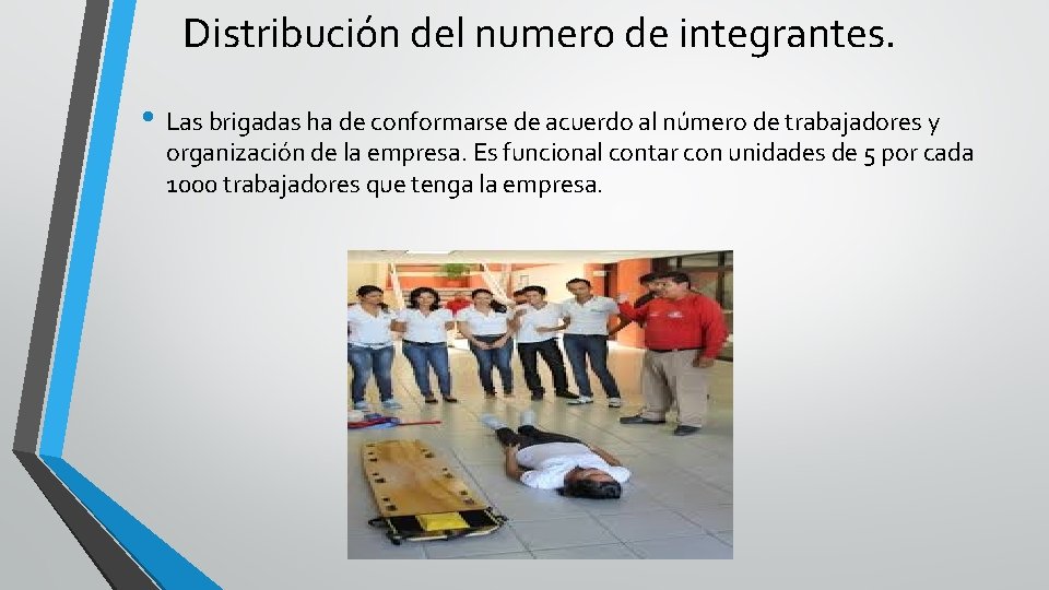 Distribución del numero de integrantes. • Las brigadas ha de conformarse de acuerdo al