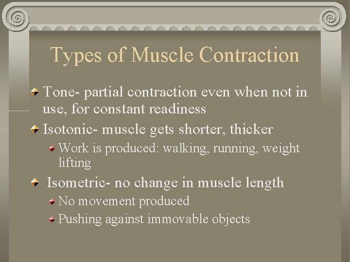 Types of Muscle Contraction Tone- partial contraction even when not in use, for constant Types of Muscle Contraction Tone- partial contraction even when not in use, for constant