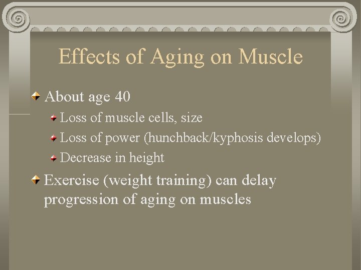 Effects of Aging on Muscle About age 40 Loss of muscle cells, size Loss Effects of Aging on Muscle About age 40 Loss of muscle cells, size Loss