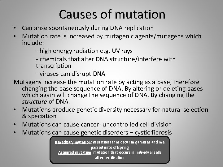 Causes of mutation • Can arise spontaneously during DNA replication • Mutation rate is